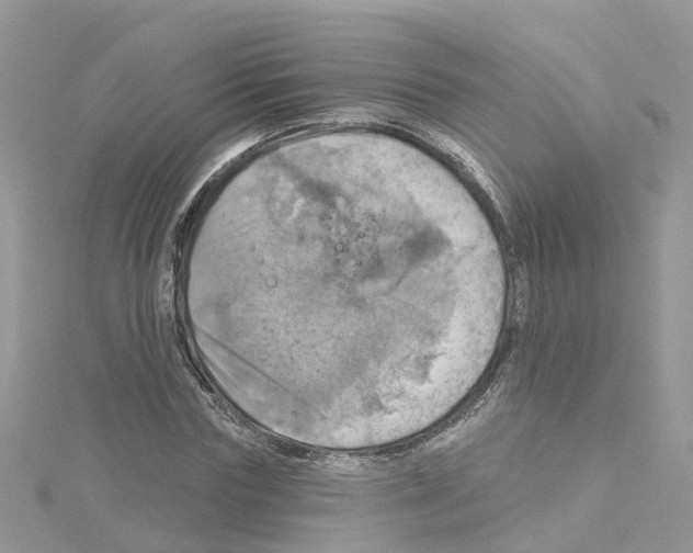 X0000114100827200911161056