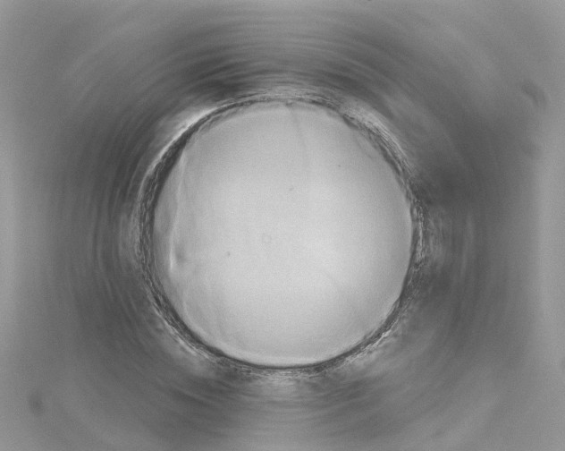 X0000114100828200911161056