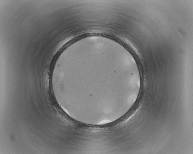 X0000114100829200911161056