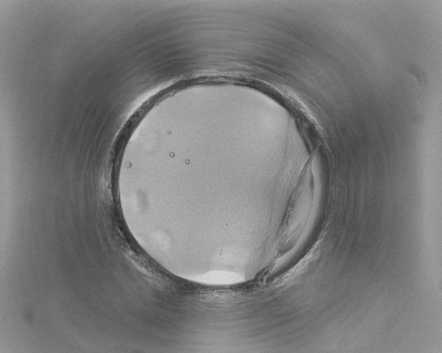 X0000114100830200911161056