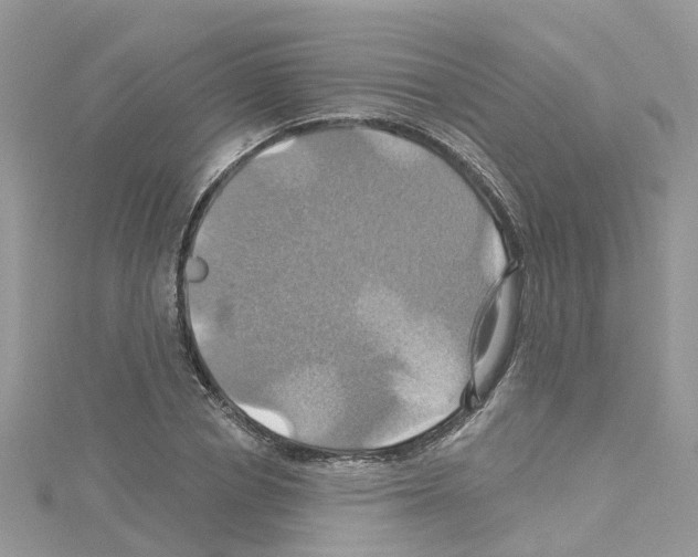 X0000114100834200911161056