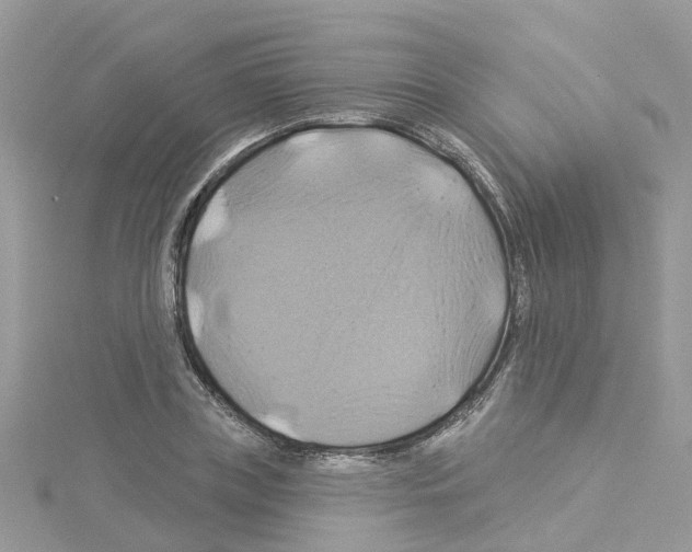 X0000114100835200911161056