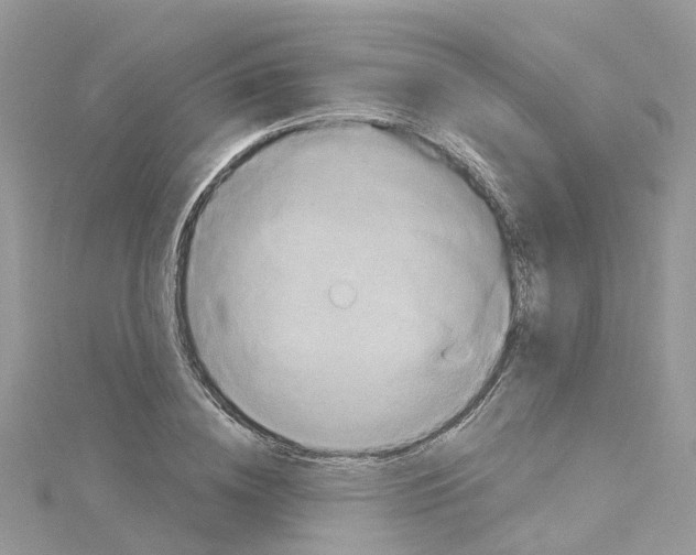 X0000114100836200911161056