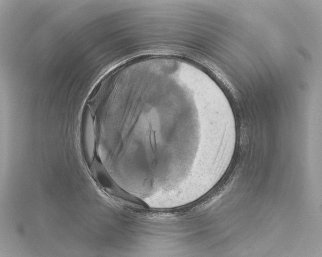 X0000114100837200911161056