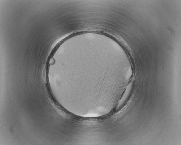 X0000114100838200911161056