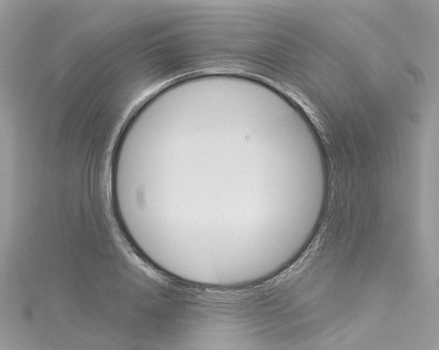 X0000114100840200911161056