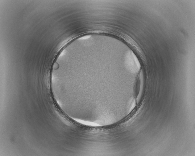 X0000114100842200911161056