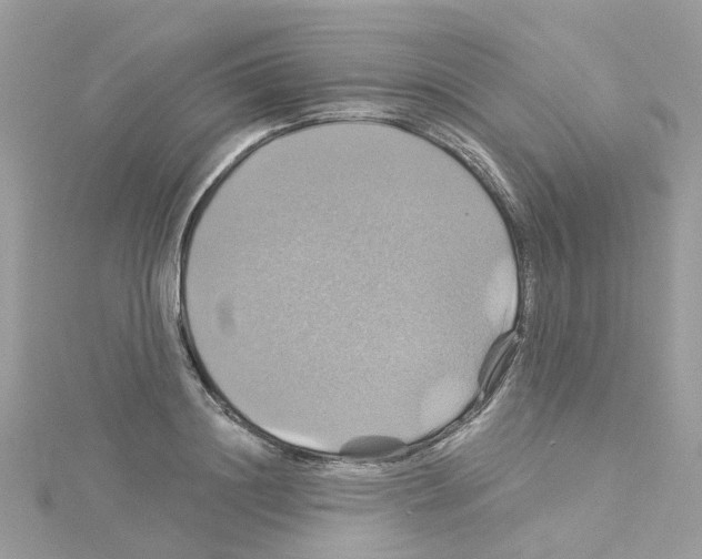 X0000114100844200911161056