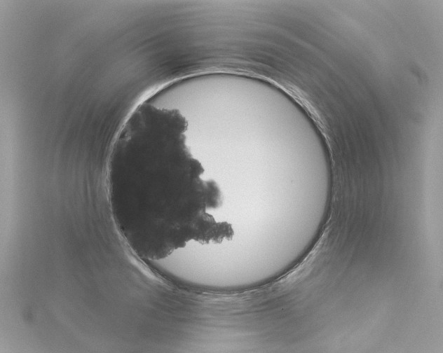 X0000114100846200911161056