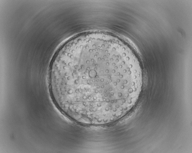 X0000114100847200911161056