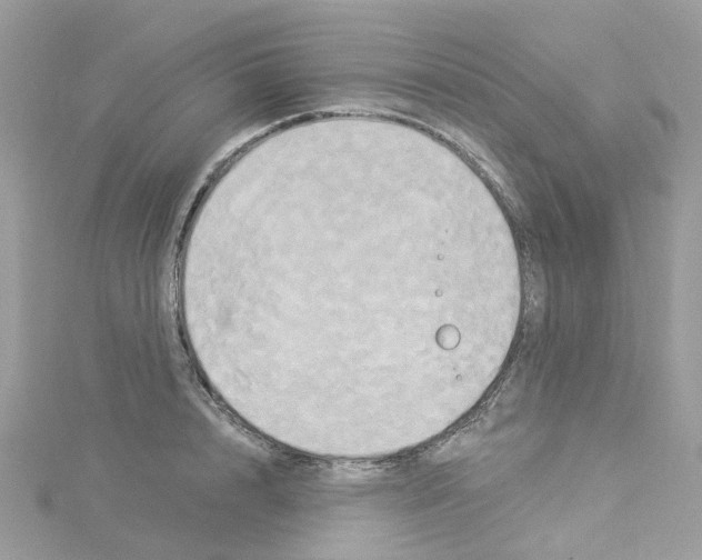 X0000114100848200911161056