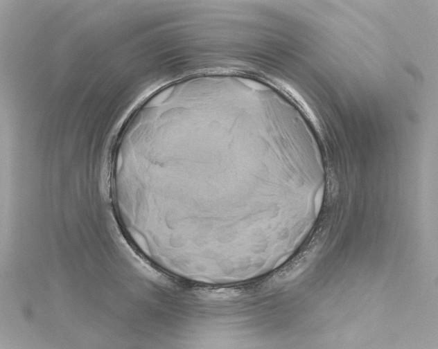 X0000114100851200911161056