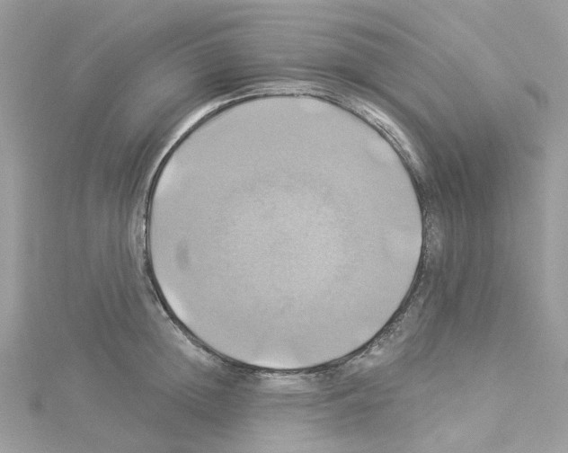 X0000114100852200911161056