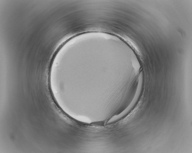 X0000114100854200911161057