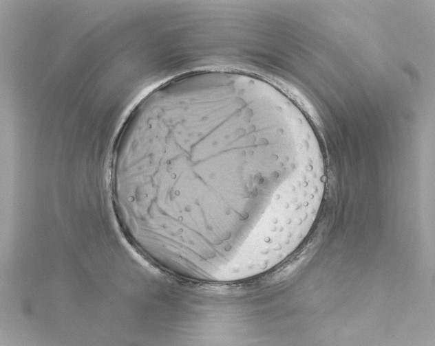 X0000114100855200911161057