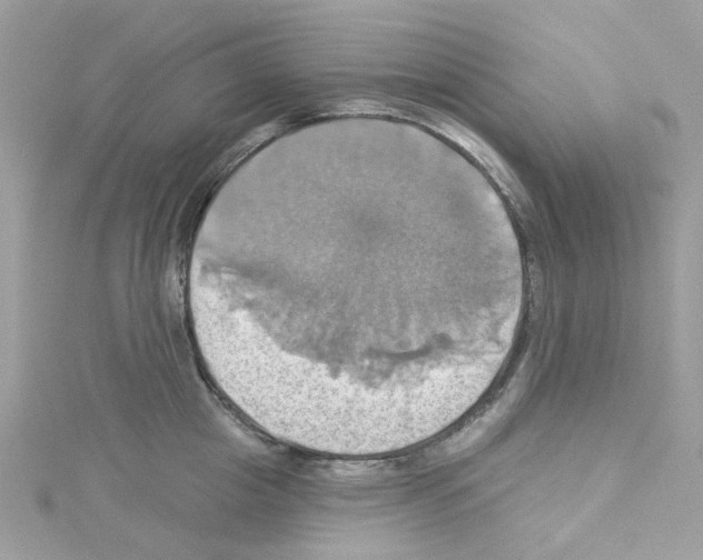 X0000114100857200911161057