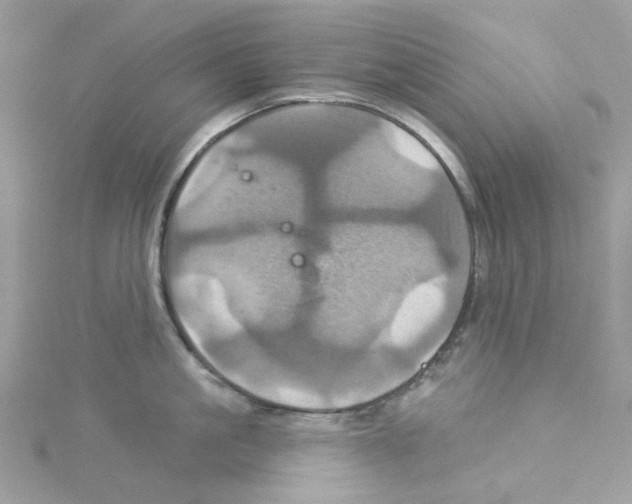 X0000114100861200911161057