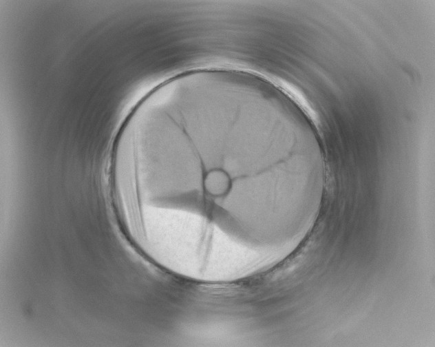 X0000114100863200911161057