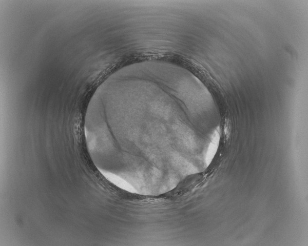 X0000114100867200911161056