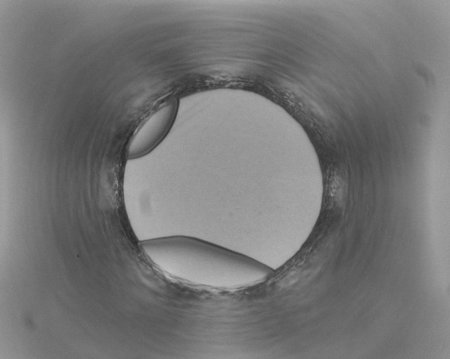 X0000114100868200911161056