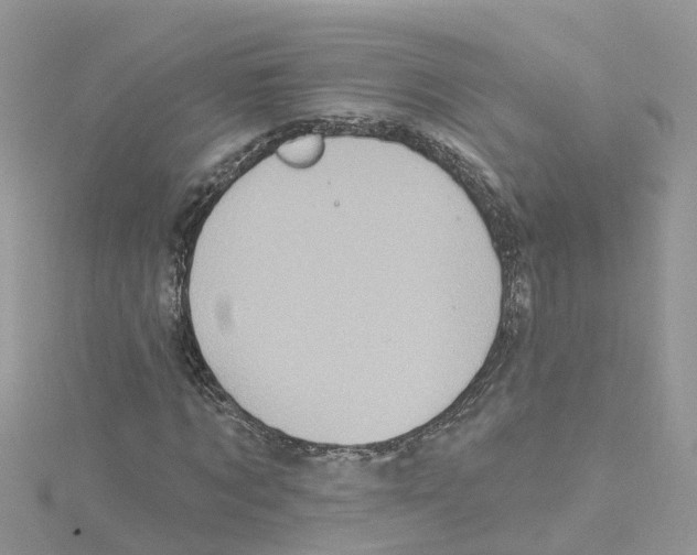 X0000114100869200911161056