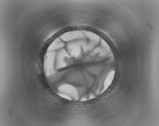 X0000114100871200911161056