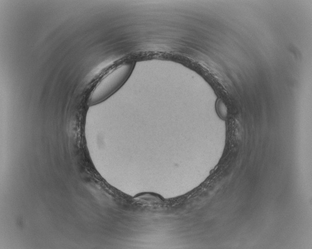 X0000114100872200911161056