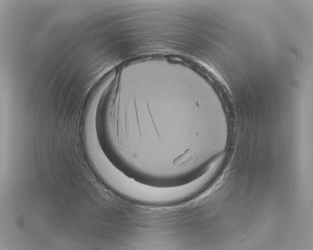 X0000114100873200911161056