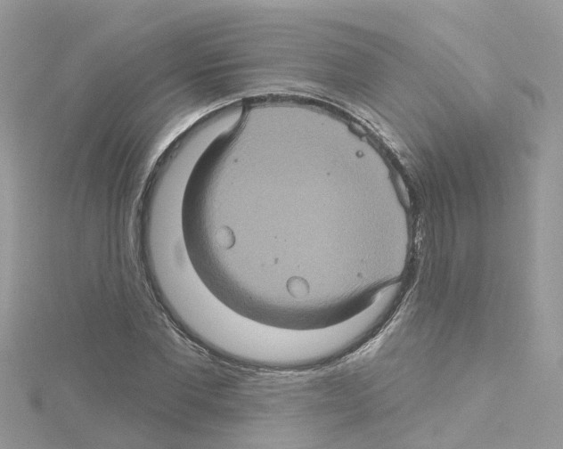 X0000114100877200911161056