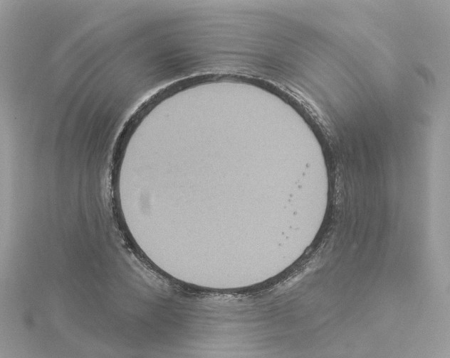 X0000114100880200911161056