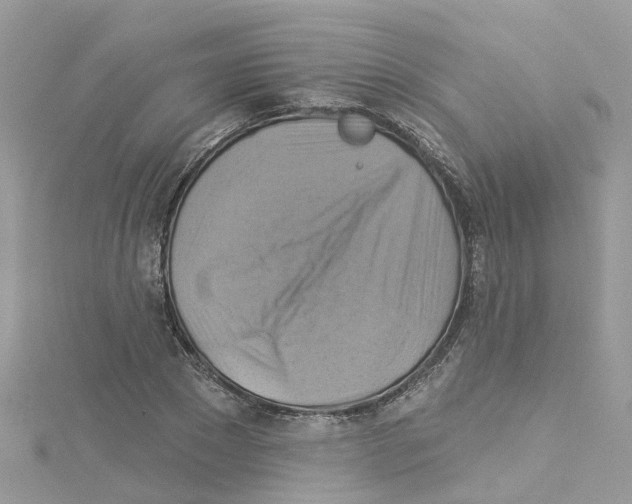 X0000114100881200911161056