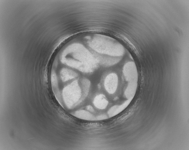 X0000114100883200911161056