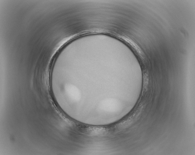 X0000114100886200911161056