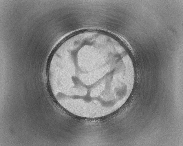 X0000114100887200911161056