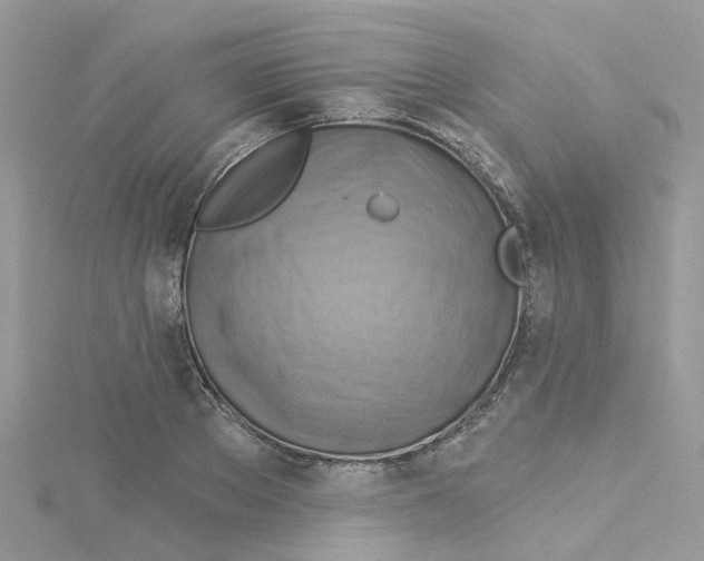 X0000114100889200911161056