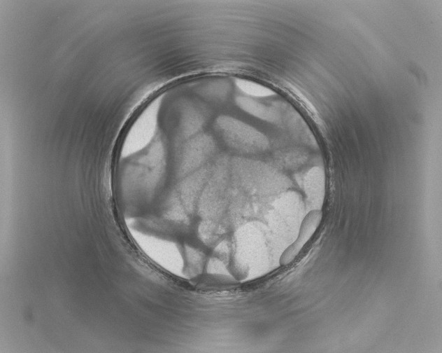 X0000114100891200911161056