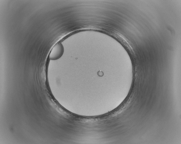 X0000114100892200911161056