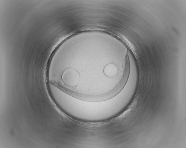 X0000114100893200911161056