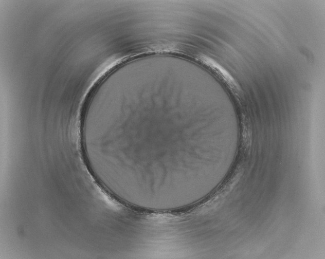 X0000114100894200911161055