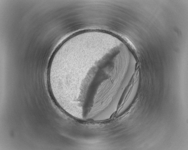 X0000114100895200911161055