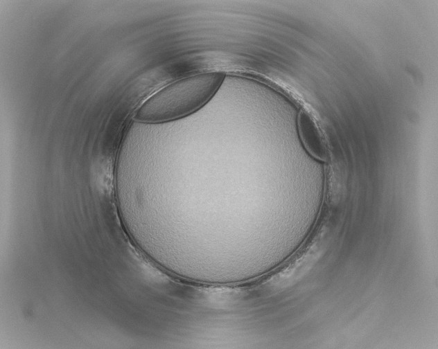 X0000114100897200911161055