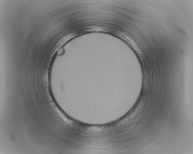 X0000114100898200911161055