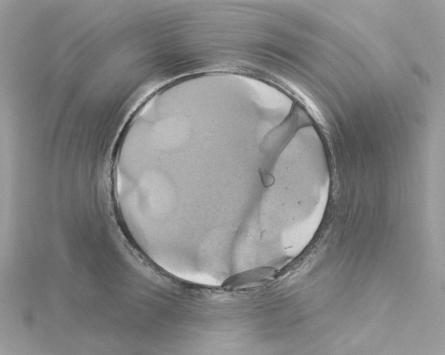 X0000114100899200911161055