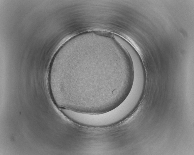 X0000114100901200911161055