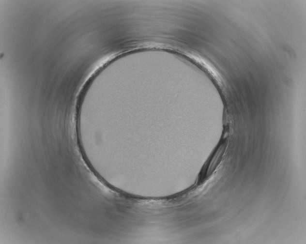 X0000114100902200911161055