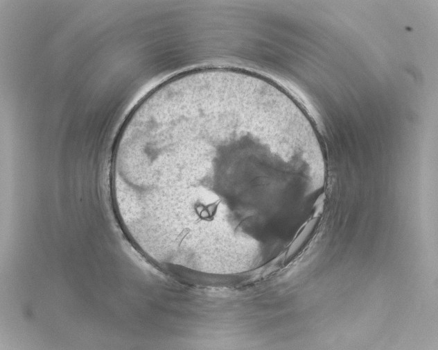 X0000114100903200911161055