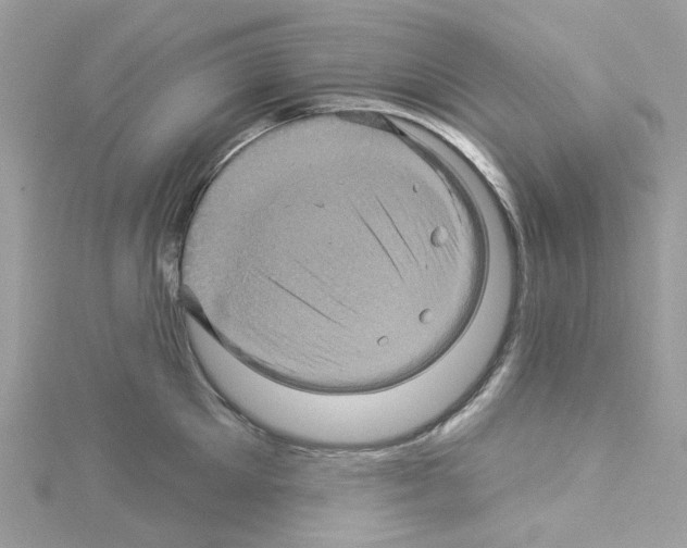 X0000114100905200911161055