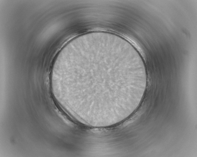 X0000114100906200911161055