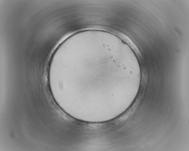 X0000114100908200911161055