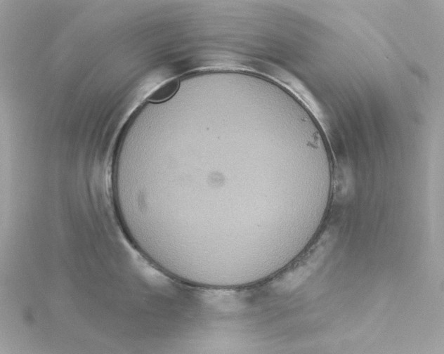 X0000114100909200911161055